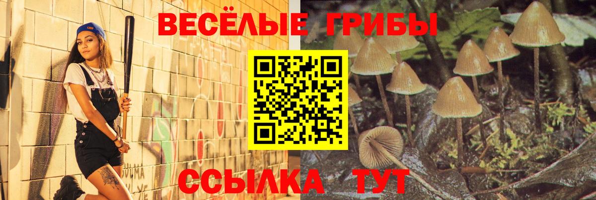 Галлюциногенные грибы GOLDEN TEACHER Уфа